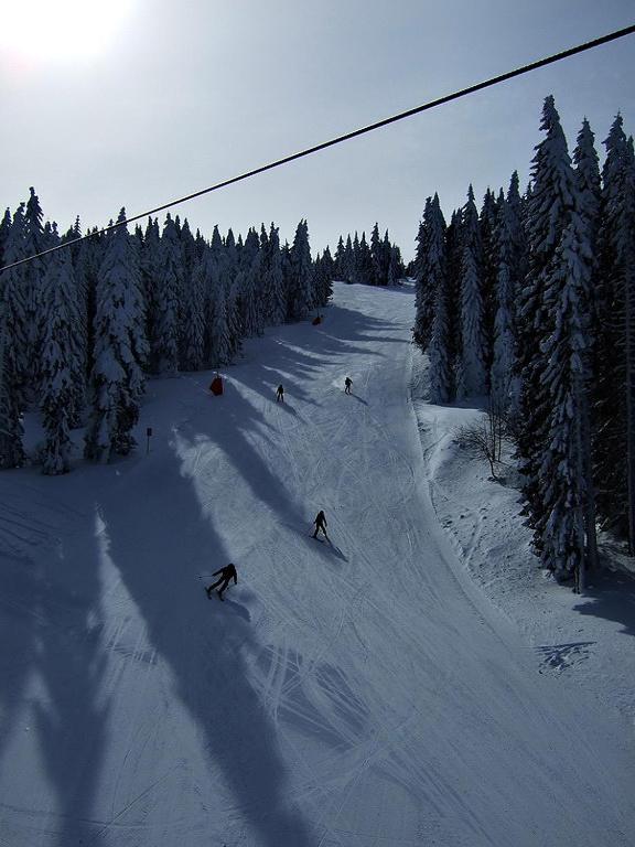 L&N Apartmani Kopaonik-Milmari Resort Dış mekan fotoğraf